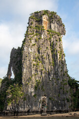Boats in Vietnam's picturesque Ha Long Bay (Northeast Vietnam)