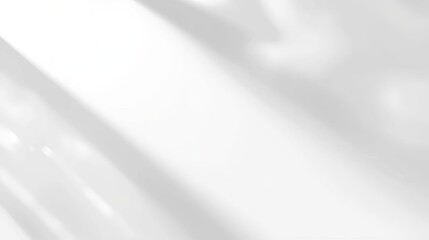 Minimal White Background with Soft Window Light Shadow