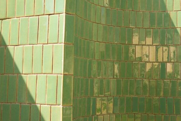 background of bamboo