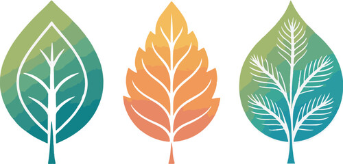 Vector illustration of a nature design set featuring colorful autumn leaves and bird feather elements for decorative art patterns © Shsmim