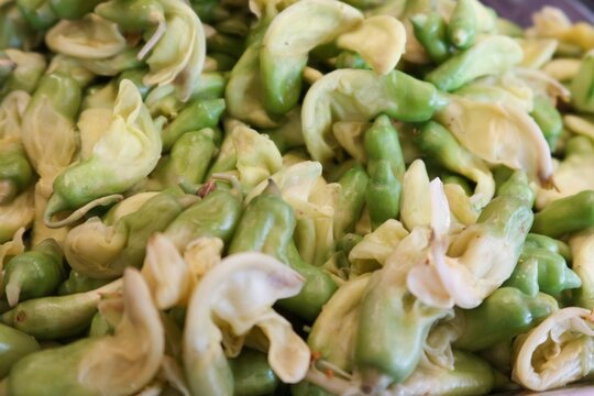 Boiling or blanching the Sesbania grandiflora flowers is a popular method of food preservation and preparation, often served with chili paste.