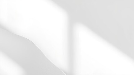 White Minimal Background with Soft Leaf Shadows and Natural Light