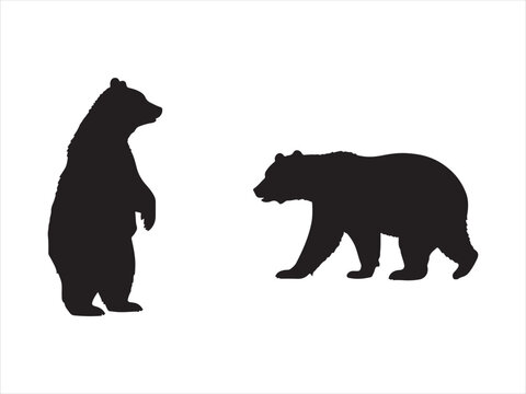 Black bear silhouette vector illustration walking bears and standing wildlife animal, Polar Bear Icon silhouette Set.