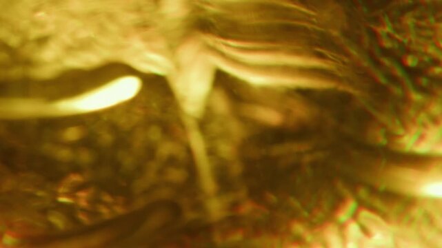 Defocused flicker background. Optical glow. Yellow orange color warm rainbow glare shadow reflection on art illuminated abstraction.