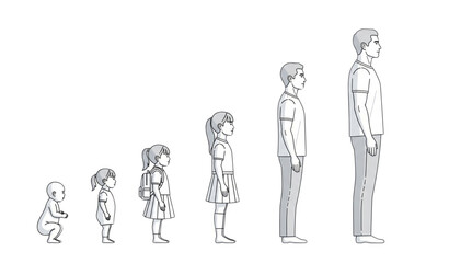 Human life cycle growth stages vector illustration baby to adult isolated on white background