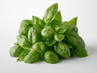 Fototapeta premium A close-up of a vibrant bundle of fresh, green basil leaves against a clean white backdrop