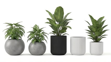 A collection of five potted houseplants with diverse foliage and modern planters, including round grey, ribbed black, and fluted white pots