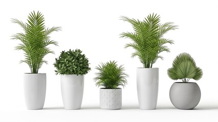 Five green houseplants in white and grey planters including tall palms, a round bush, a small potted plant, and a fan-shaped palm on a white