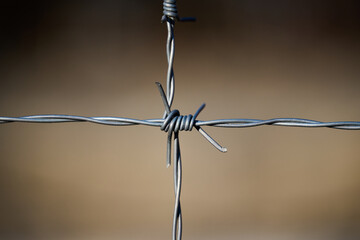 Detailed Close-up of Sharp Barbed Wire Knot Against Blurred Background