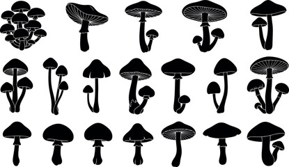 Black Silhouette Mushroom Set Isolated on White Background Minimalist Fungi Vector Icons for Nature Illustration Graphic Design and Autumnal Pattern Elements © BIPUL