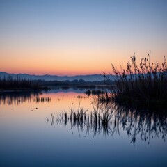 A square environmental poster composition showing a tranquil wetland at twilight with shallow reflec