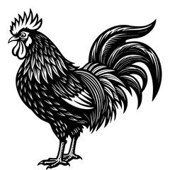“Funny Rooster Cartoon Black and White Chicken Line Art Vector Illustration” © Kawsar