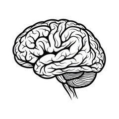 Black and white illustration of a human brain isolated on transparent background