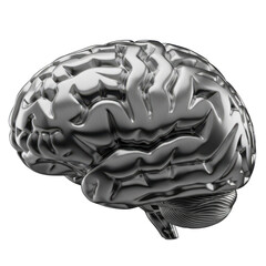 Metallic human brain model isolated on transparent background