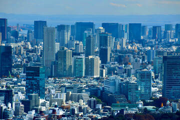 東京都庁からの眺望・都市風景（東京都・新宿区）