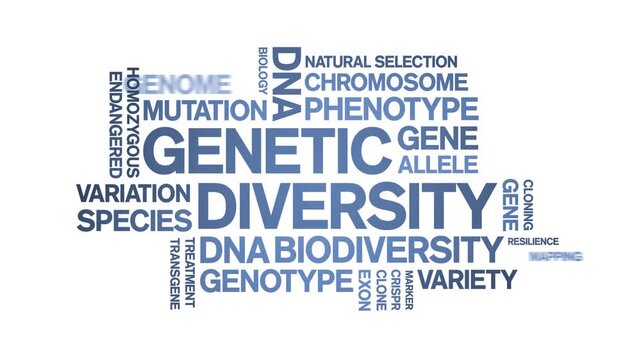 Genetic Diversity animated word cloud-text design animation tag kinetic typography seamless loop.