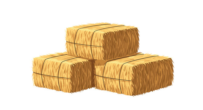 Three rectangular golden hay bales stacked neatly on ground showing agricultural harvest and farm animal fodder storage.