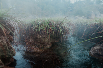 On-sen of Thailand,Fang Hot Spring at National Park in Chiang Mai,Thailand.