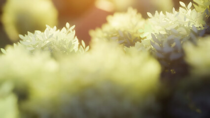 Abstract image of 3D virtual tree foliage.