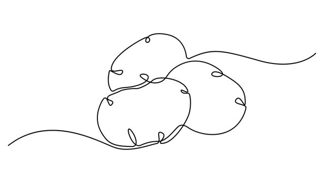 potato continuous one line drawing, Potatoes vector illustration. One line drawing art illustration with lettering organic potatoes. Minimalist vector illustration design style. Editable stroke