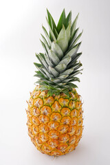 パイナップル　白背景