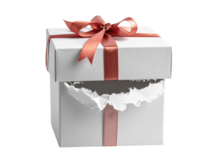 A white gift box with a red ribbon, featuring a tear in the side, suggesting it has been opened or unwrapped.