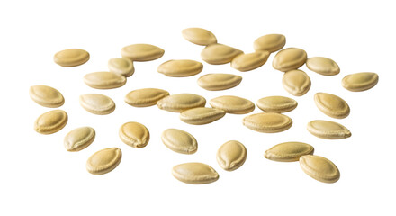 Pile of oval shaped seeds on a black background