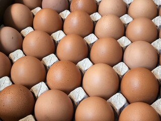 A full Carton of Fresh Brown Eggs