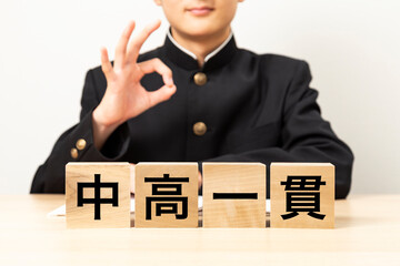「中高一貫と書かれたブロックとOKサインをする男子学生
