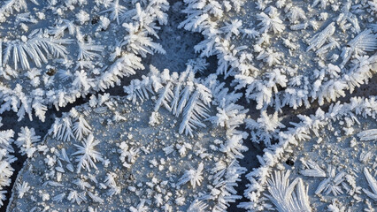 Frost Covered Ice Crystals