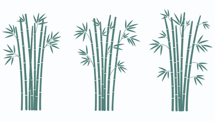 Obraz premium A set of three green bamboo grove silhouettes, illustrating different arrangements of stalks and leaves, isolated on a white background.