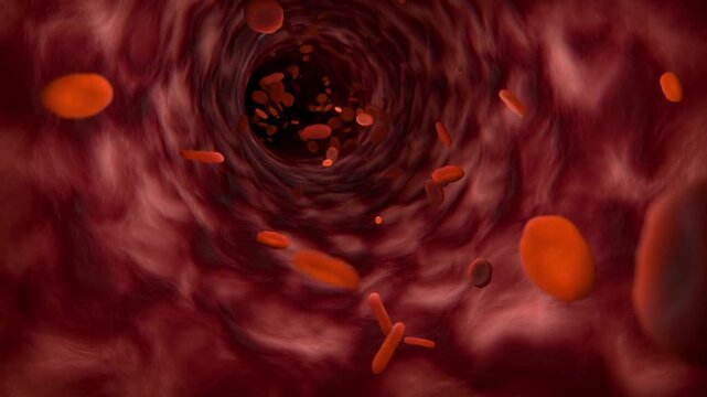 circulation of red blood cells in arteries, realistic 3D CGI animation