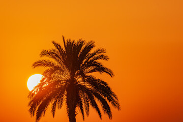 朝空シルエット