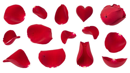 Collection of red rose petals in various shapes and forms isolated on transparent background for valentines day or romantic occasions