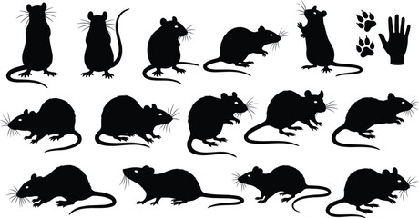 Obraz premium Black rat silhouettes in various poses with paw prints and hand icon, perfect for rodent anatomy, behavior, and pest control themes.