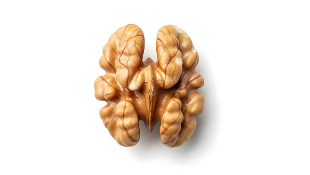 Walnut isolated png Walnut kernel half on white or white background Perfect retouched walnut nut no