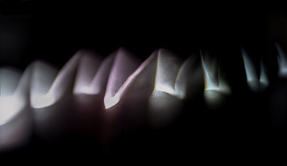 アブストラクト