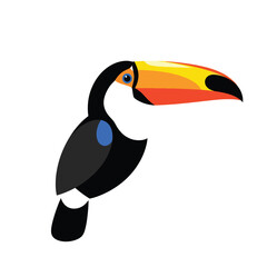 Colorful Toucan Bird with Large Beak Isolated on White Background.