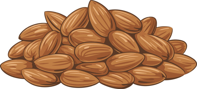 Natural Almond Nut Pile Vector Illustration for Healthy Snack Packaging and Organic Food Branding Designs