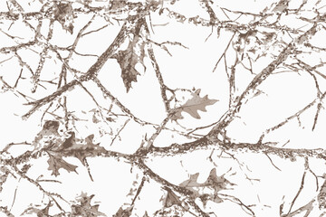 Obraz premium A detailed, high-resolution photograph of tree branches and leaves in a camouflage pattern on a white background, creating an intricate design.