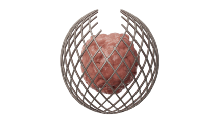 Brain in a Metal Cage