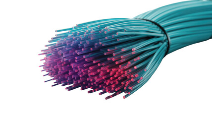 Bundle of fiber optic cables with glowing ends