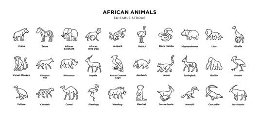 Collection of african animal line drawings, editable stroke © hafid