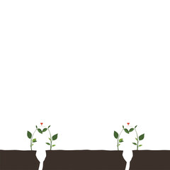 Two plants growing in separate soil sections with green leaves and red hearts