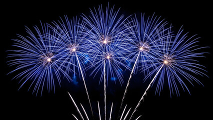 Fototapeta premium Fireworks exploding in the night sky with vibrant blue and white lights