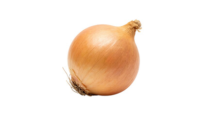 Whole Yellow Onion isolated PNG with Transparent Background
