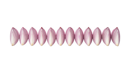 Top view of neatly arranged purple shallot peels in a straight row isolated PNG with Transparent Background