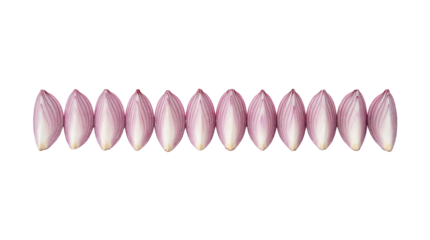 Top view of neatly arranged purple shallot peels in a straight row isolated PNG with Transparent Background