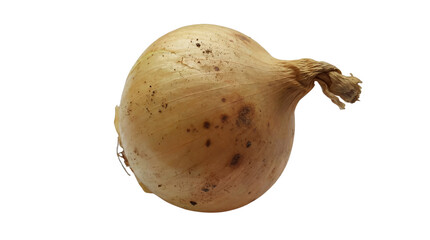 Fresh Whole Unpeeled Yellow Onion isolated PNG with Transparent Background