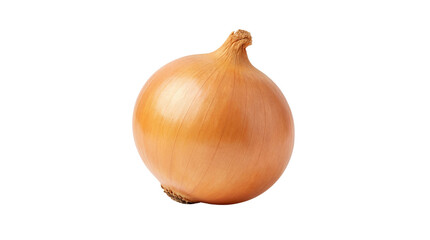 Whole Yellow Onion isolated PNG with Transparent Background